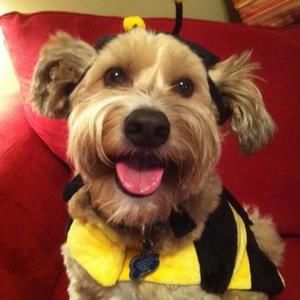 Meet your Posher, Lynda